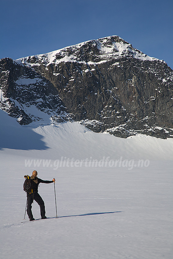 Skiløper på Styggebrean under Galdhøpiggen (2469 moh).