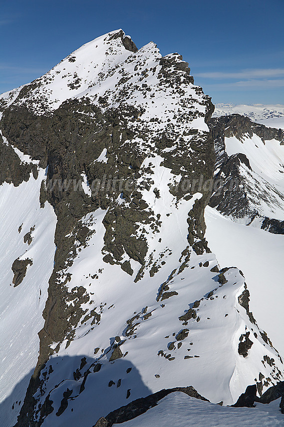 Fra Nåle mot Skardstinden (2373 moh).