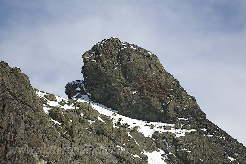 Nærstudie av Nåle (2310 moh).