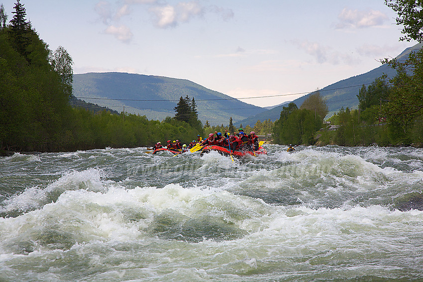 Rafting i Sjoa nedenfor Heidal. 