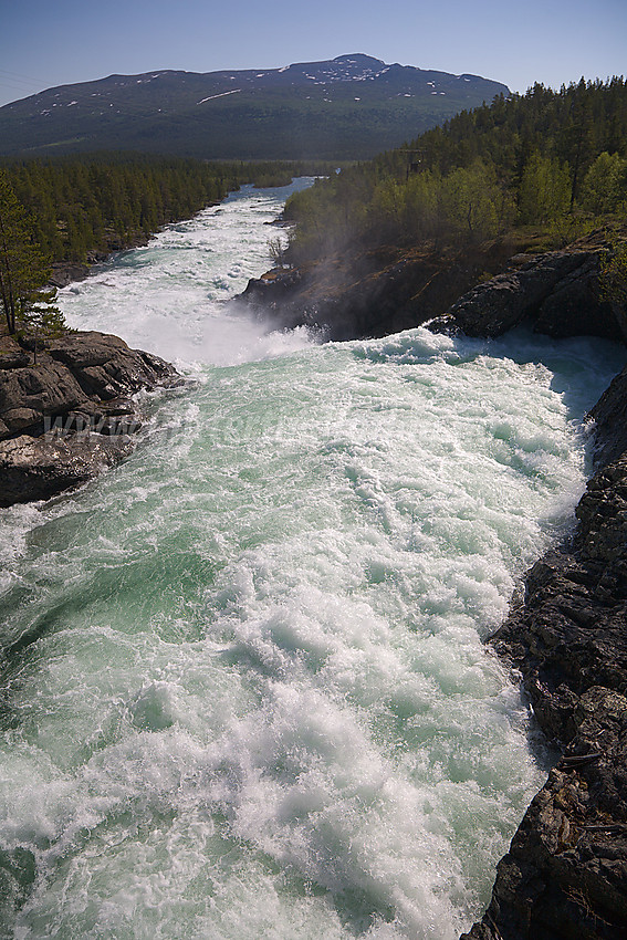 Stuttgongfossen i Sjodalen en vannrik forsommerdag.