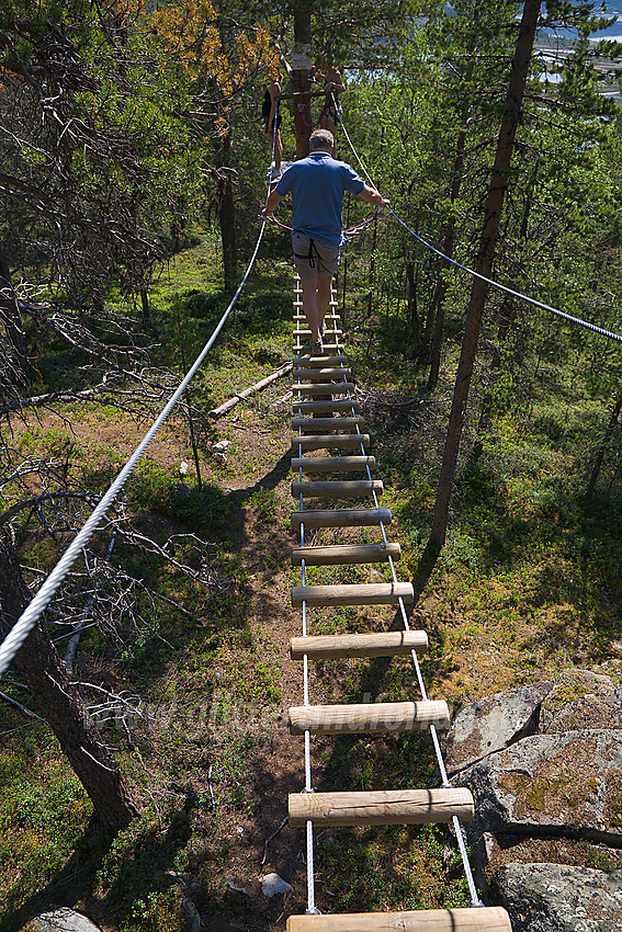 I "klatreparken" i Brimiland ved nordenden av Tesse.