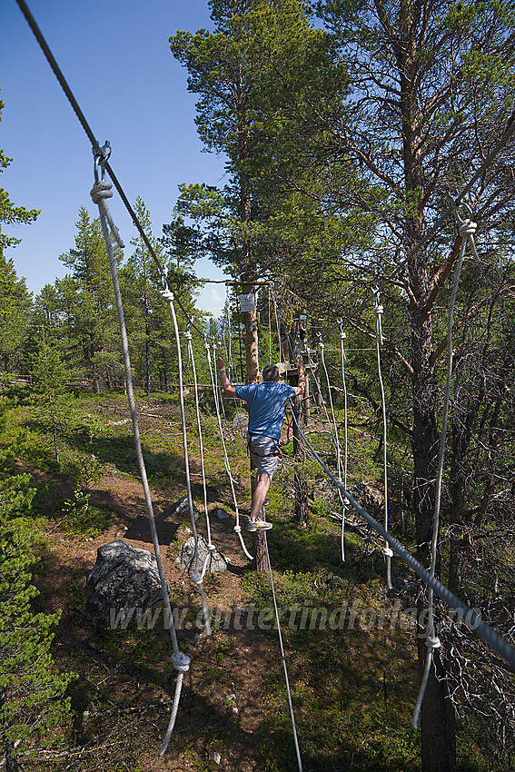 I "klatreparken" i Brimiland ved nordenden av Tesse.