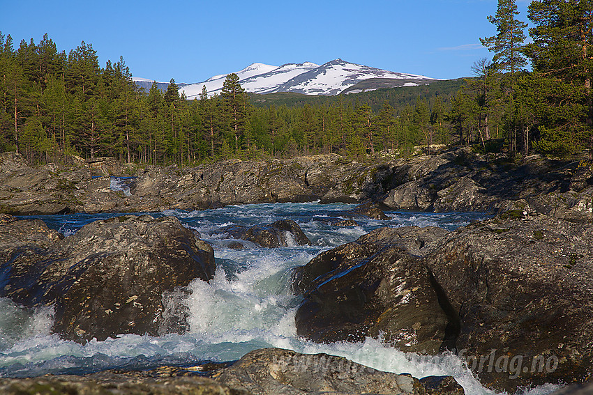 I Sjodalen nær Nybrue med Sjoa som fosser frem i forgrunnen. I bakgrunnen ses de snøhvite tinder med Stornubben som den høyeste.