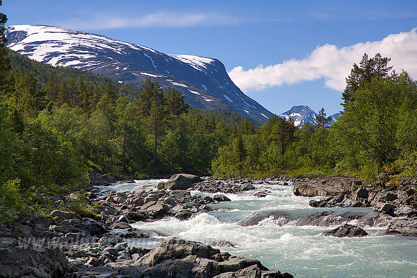 Flott sommerdag i Visdalen. Massivet som ruver i bakgrunnen er Skauthøe/Spiterhøe. Mens den kvasse ryggen lenger i det fjerne er Store Urdadalstinden.