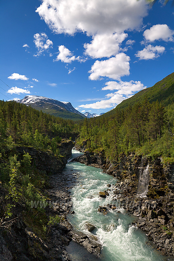 Visdalen med Visa en flott sommerdag. I bakgrunnen ruver snødekte tinder.