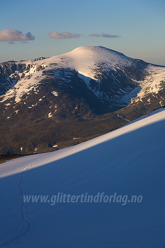 Spor i snøeflanken forbi Svellnose (del av ruta til Galdhøpiggen) med Glittertinden (2464 moh) i bakgrunnen.