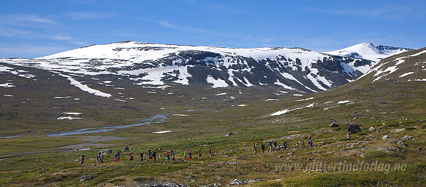 Større gruppe på vei til Glittertinden. De har akkurat forlatt Glitterheim. I bakgrunnen ses Styggehøryggen og Styggehøbreatindane helt bak til høyre.