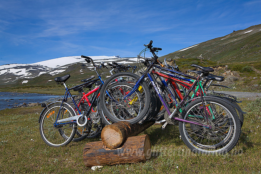 Selvbetjent sykkelutleie i Veodalen. Sykkel er et praktisk hjelpemiddel fra bommen og opp til Glitterheim.