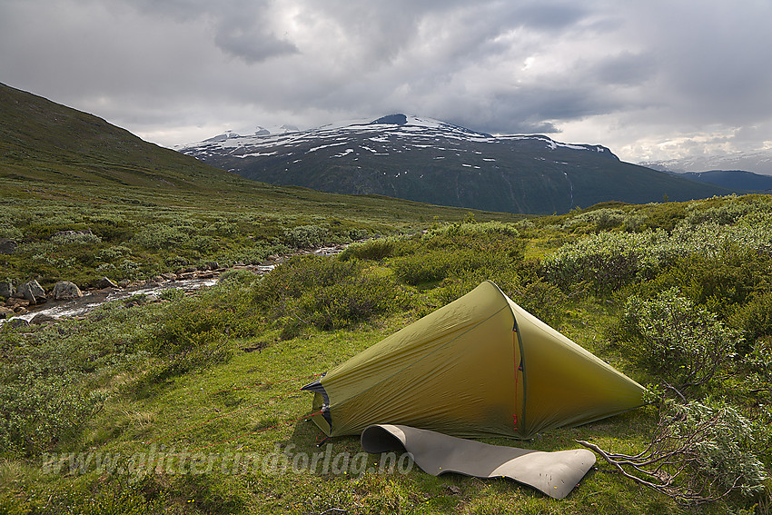 Sommerkveld i Gokkerdalen med Galdhøpiggen delvis i tåkeskyer i bakgrunnen.