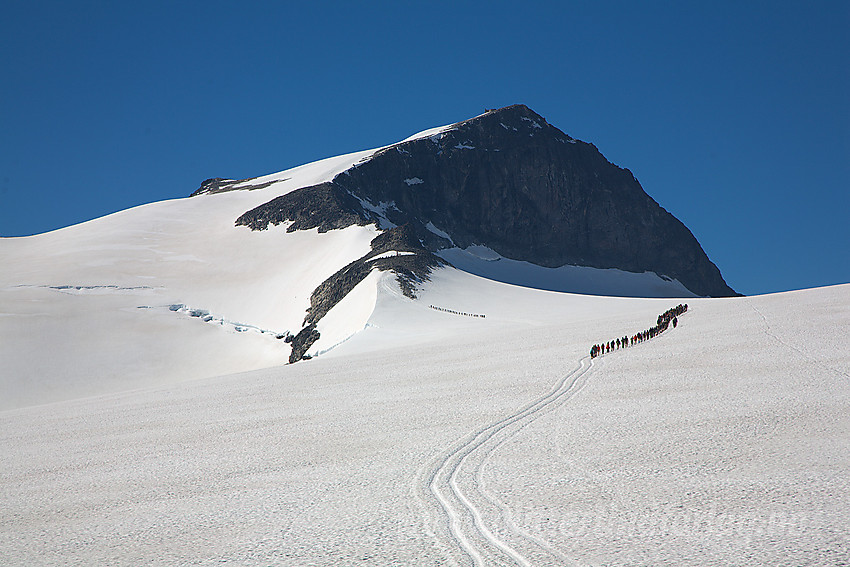 Folk på tur over Styggebrean med målet, Galdhøpiggen (2469 moh), ruvende i bakgrunnen.