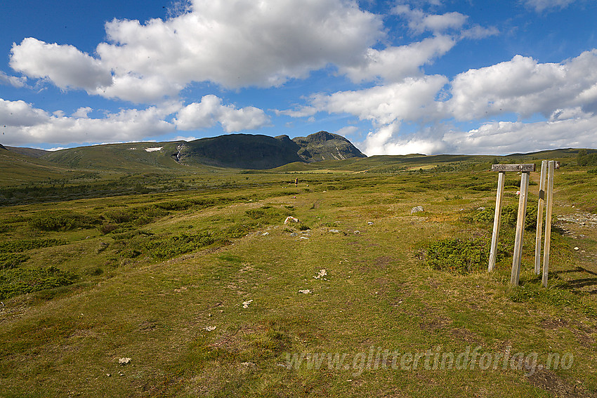 På vei fra Brimi Fjellstugu mot Søre Koppe (1403 moh) som ses bak til høyre.