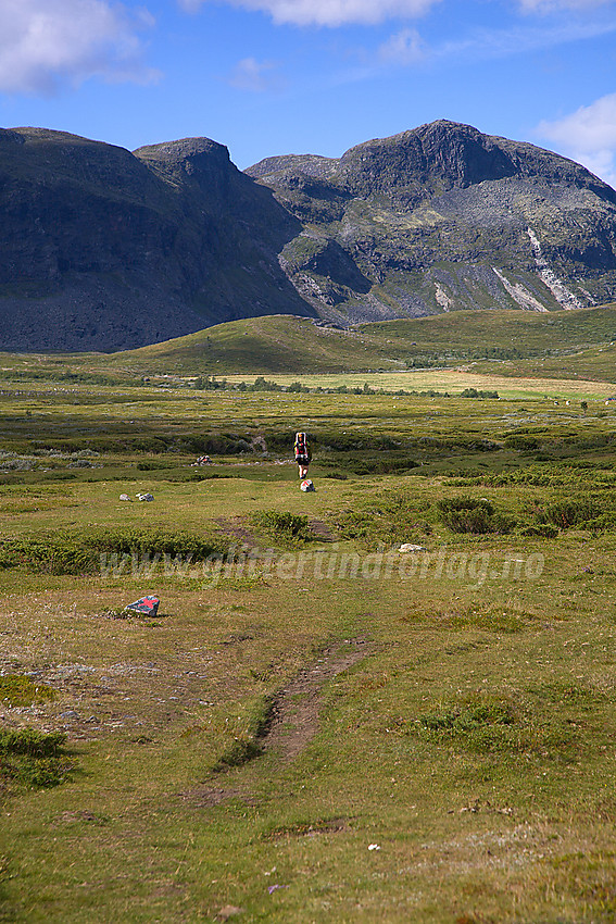 På vei fra Brimi Fjellstugu mot Søre Koppe (1403 moh) som ses i bakgrunnen.