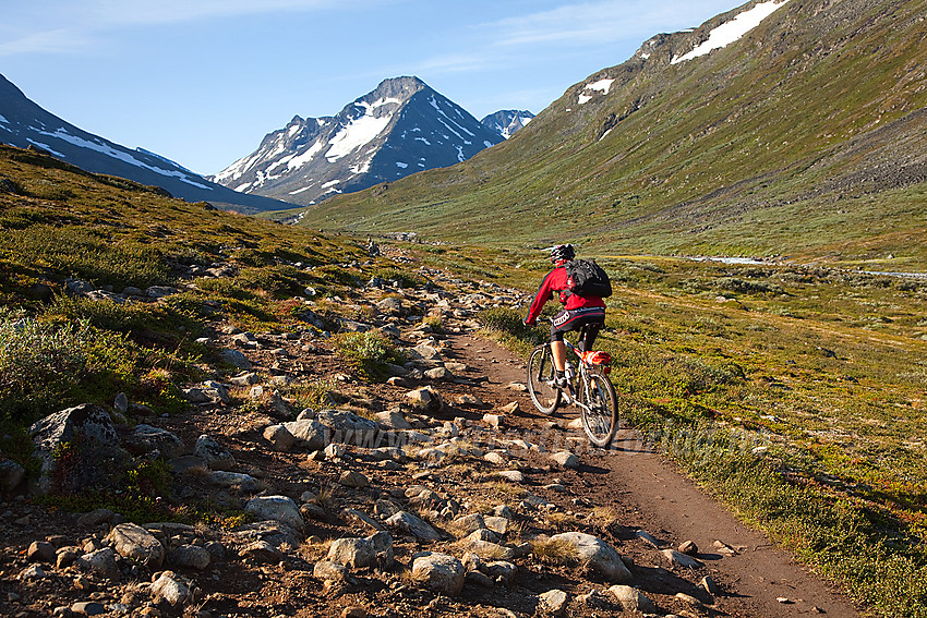 Syklist i Visdalen. Urdadalstindane i bakgrunnen.