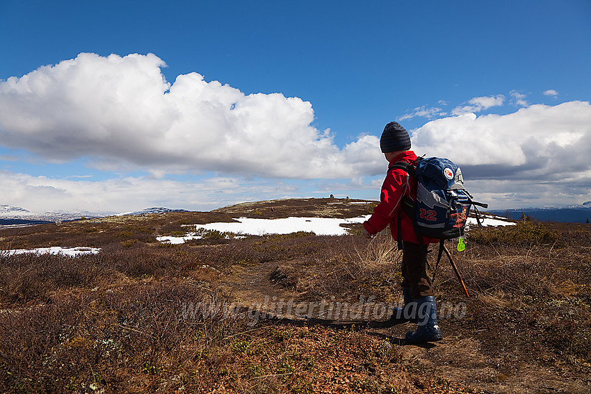 På topplatået på Javnberget (1097 moh) i Øystre Slidre. Varden ses i bakgrunnen.