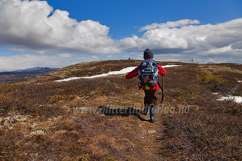 På topplatået på Javnberget (1097 moh) i Øystre Slidre. Varden ses i bakgrunnen.