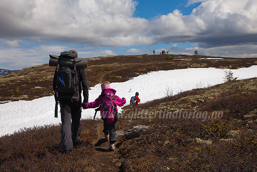 På topplatået på Javnberget (1097 moh) i Øystre Slidre. Varden ses i bakgrunnen.