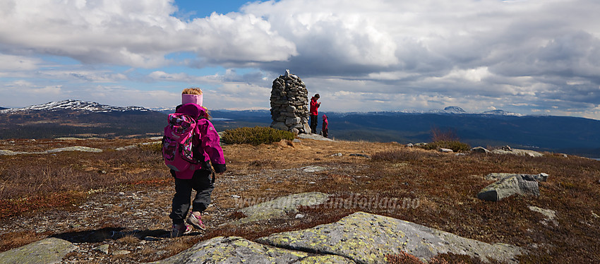 På topplatået på Javnberget (1097 moh) i Øystre Slidre. Varden ses i bakgrunnen.