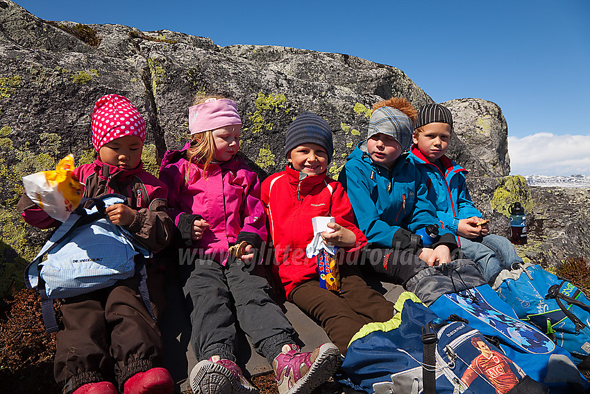 Pause oppunder Javnberget i Øystre Slidre.