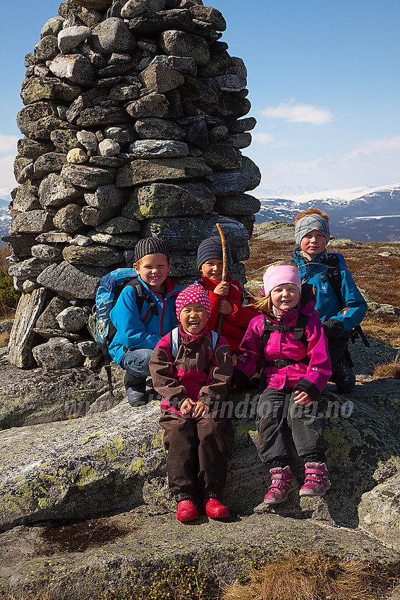 Glade barn på toppen av Javnberget (1097 moh) i Øystre Slidre.