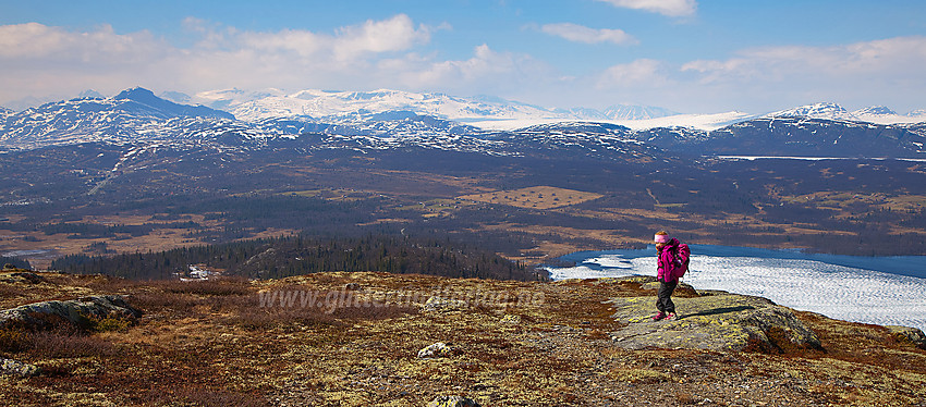 På toppen av Javnberget med flott utsikt i retning Beitostølen, Bitihorn og Jotunheimen/Valdresflye.