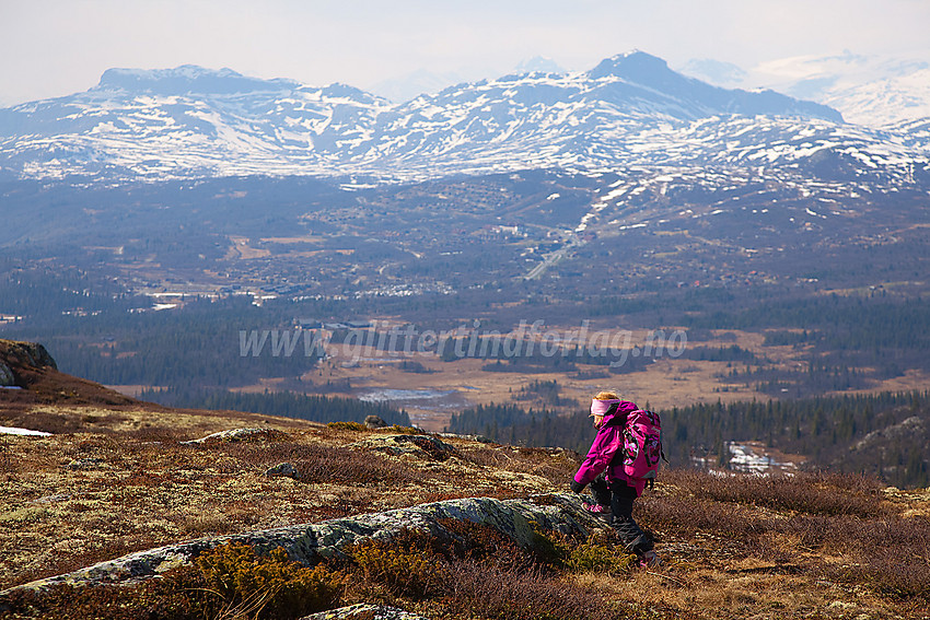 Liten fjellvandrer på Javnberget. I bakgrunnen ses Beitostølen, Skyrifjellet og Bitihorn.