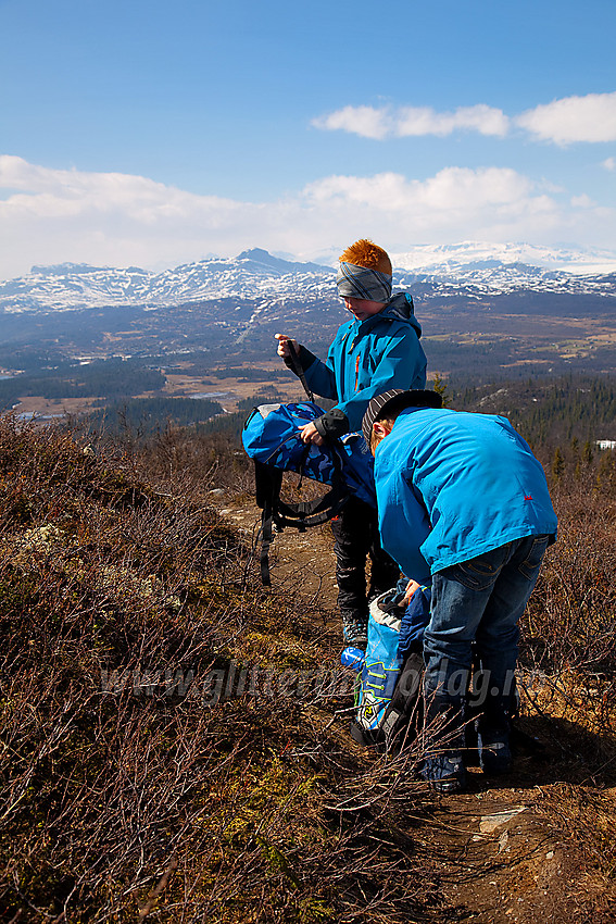 På Javnberget med Bitihorn i det fjerne.