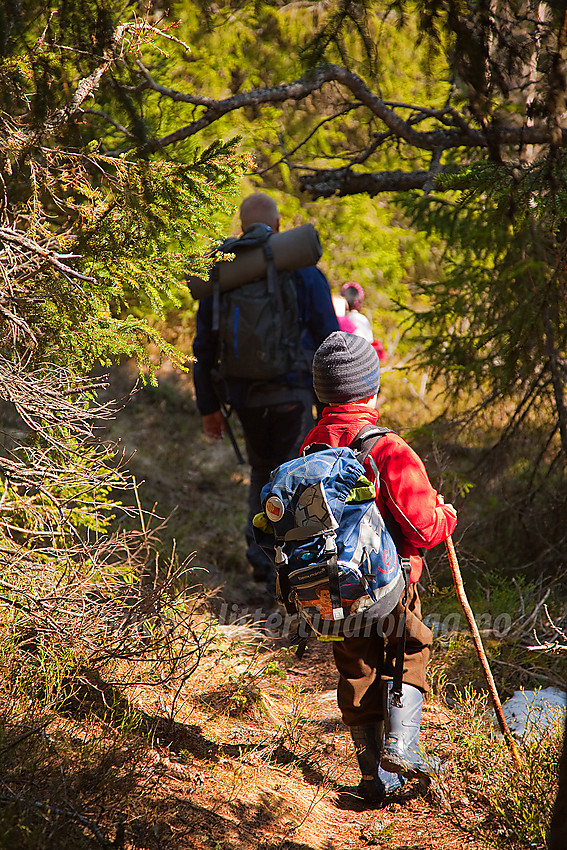 På vei ned fra Javnberget gjennom skogen.