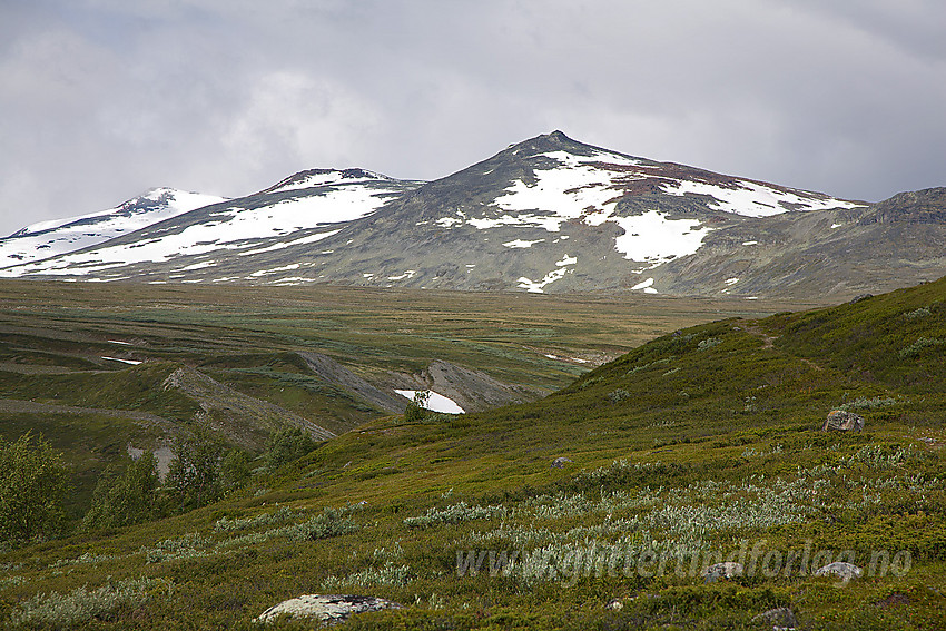 På vei fra Veolie mot Veodalen med Hindflye og Nubber i bakgrunnen.