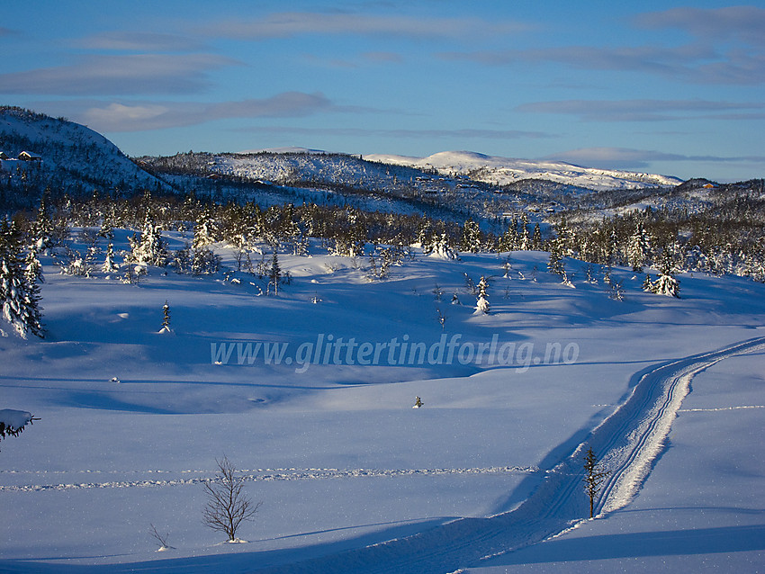 Skispor like ved Søre Fjellstølen. Skiløype kommer fra Nørdre Fjellstølen forbi Øytjern.