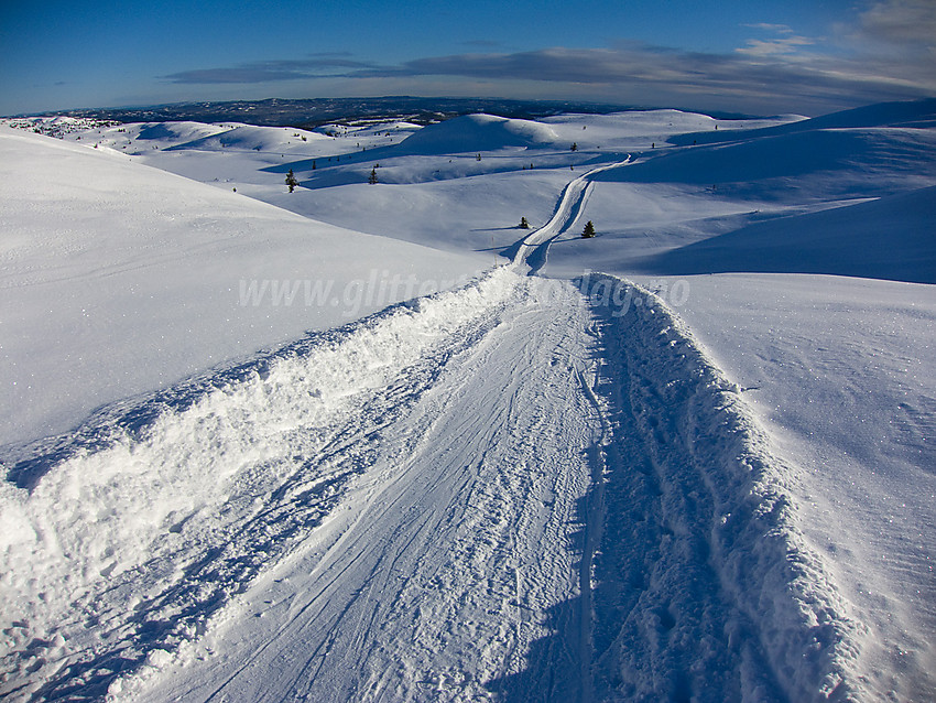 Skispor (runde fra Søre Fjellstølen) oppover mot Bjødalsfjellet fra øst.