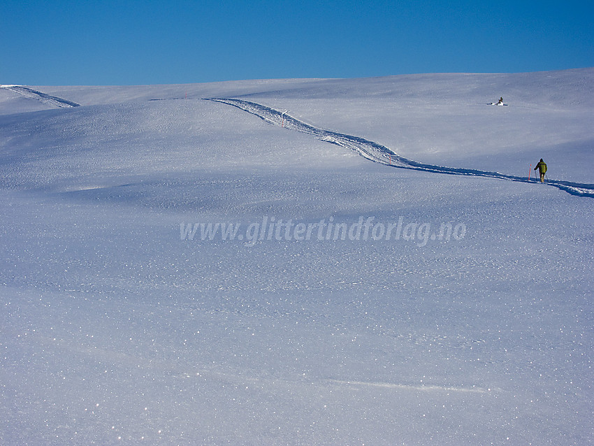 Skiløper på Bjødalsfjellet.