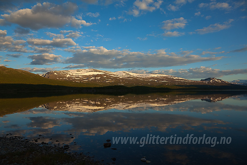 I nordenden av Øvre Sjodalsvatnet en flott sommerkveld med Heimdalshøe i bakgrunnen.