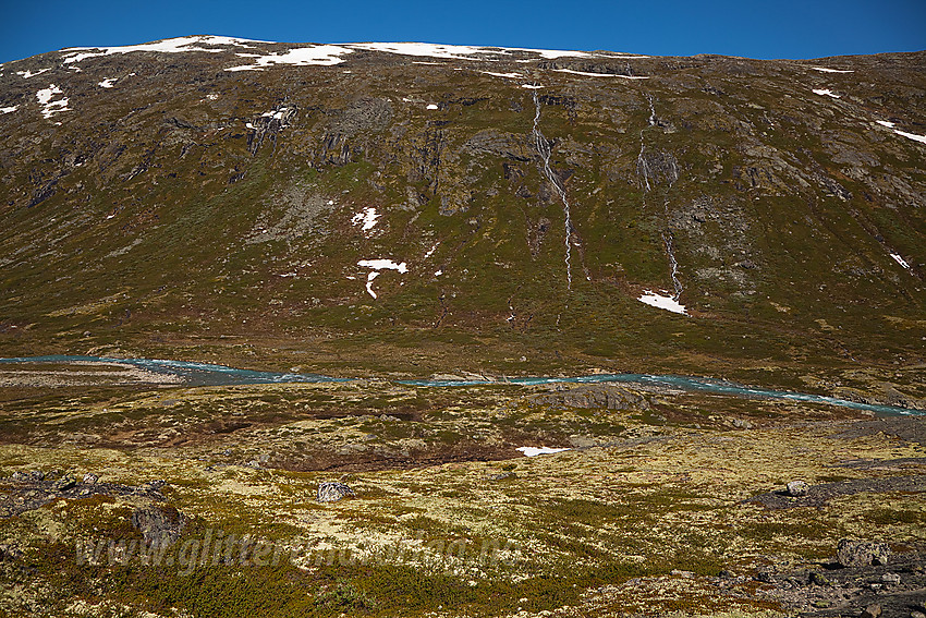 I Lundadalen med en del av Hestdalshøgderyggen i bakgrunnen. Midt på bildet kan man se hengebroa der ruta oppover dalen krysser elva.