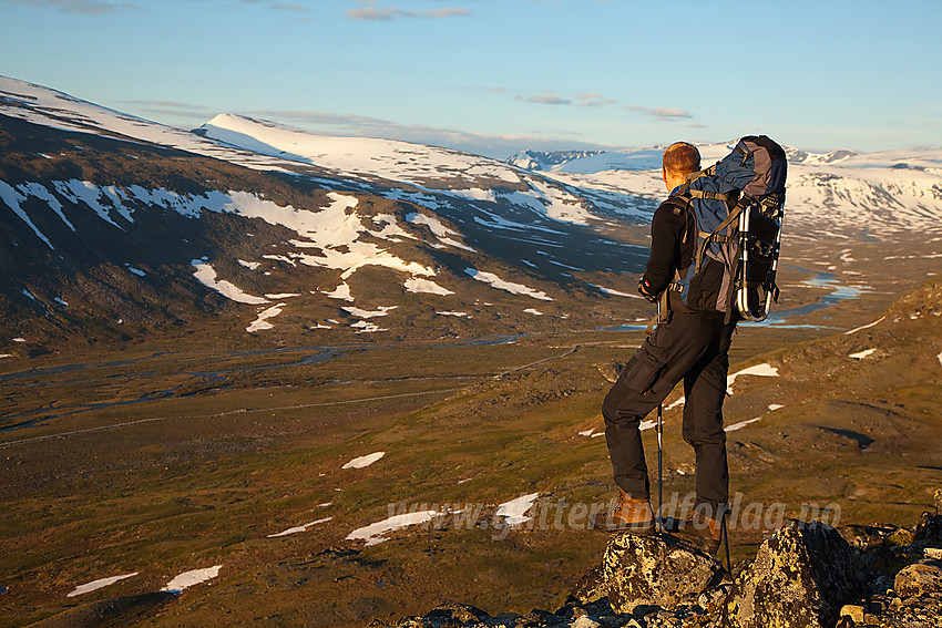 På en høyde med utsikt over Veodalen en tidlig sommermorgen. Austre Hestlægerhøe sentralt i bakgrunnen.