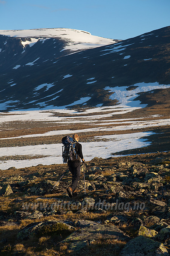 På vei innover Trollsteinkvelven en sommermorgen. Store Trollsteihøe (2201 moh) i bakgrunnen.