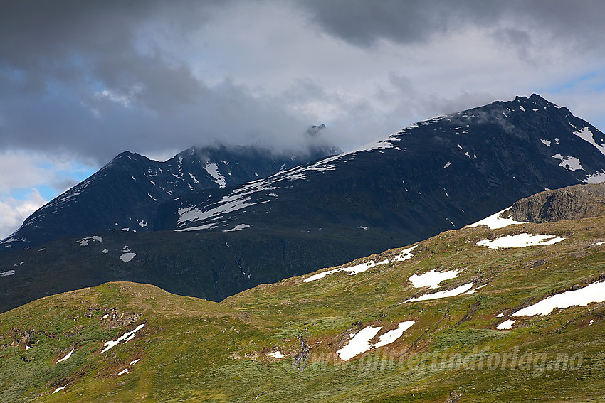 Fra Berdalsfjellet mot Ringsnonhaugen, Dyrhaugsryggen og Skagastølsryggen.