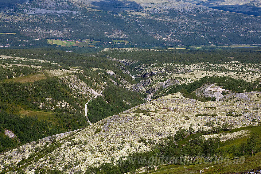 Fra stien mot Bjørnhollia (fra Langglupdalen) ser man nedover elvegjelet mot Atndalen. Veien på bildet er en del av grusveien som fører inn til Bjørnhollia.