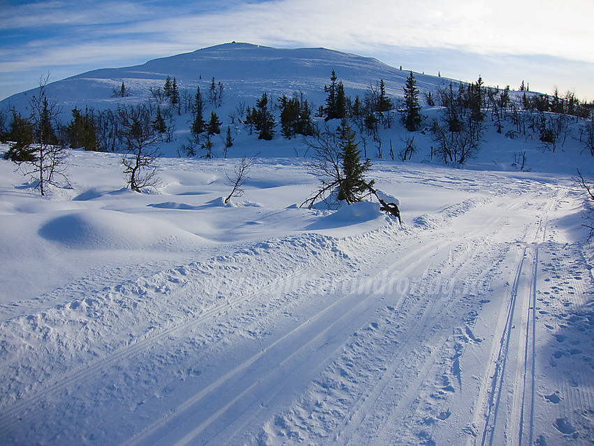 I løypenettet på Aurdalsåsen mot Sæterfjellet (1000 moh).