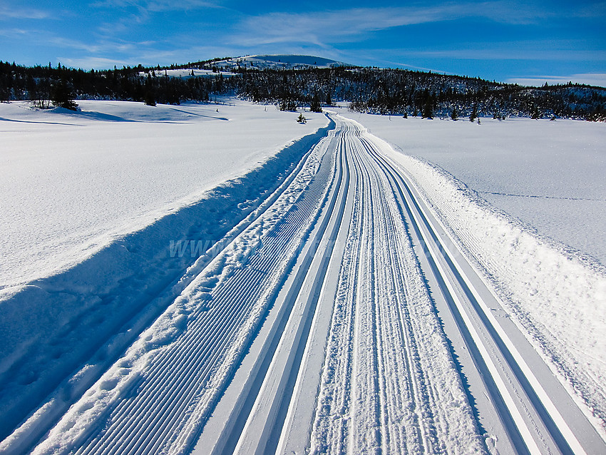 Skispor i nærheten av Søre Fjellstølen i Sør-Aurdal med Fiskebufjellet i bakgrunnen.