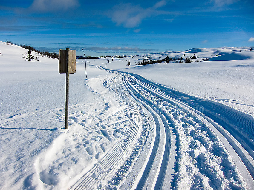 Skiløype fra Søre Fjellstølen oppover dalen mellom Fiskebufjellet og Bjødalsfjellet.