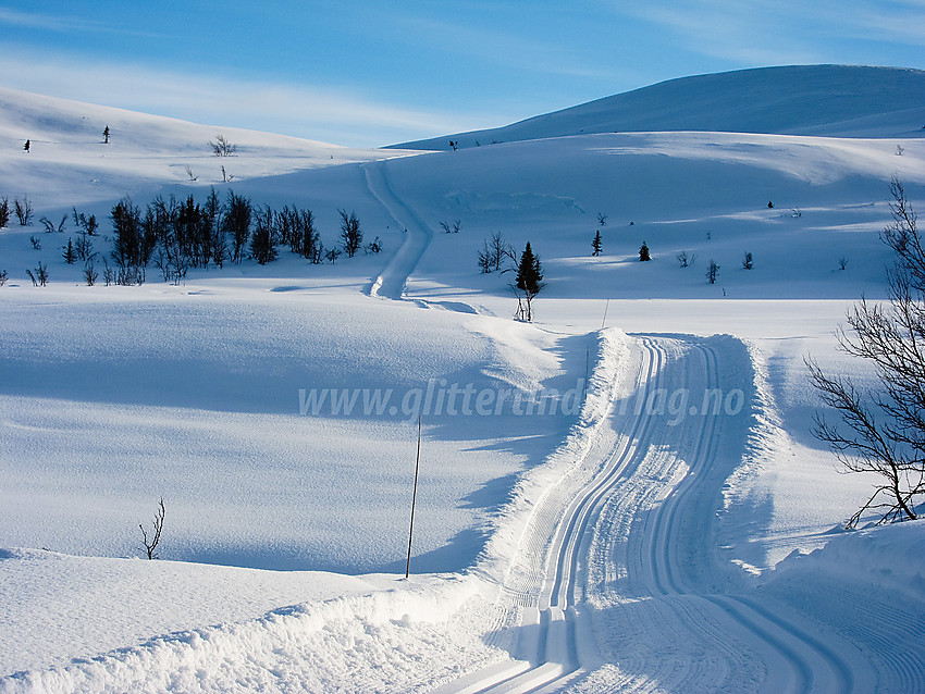 Skispor som går opp på sadelen mellom Sangeknatten og Hollastølsfjellet fra nord.