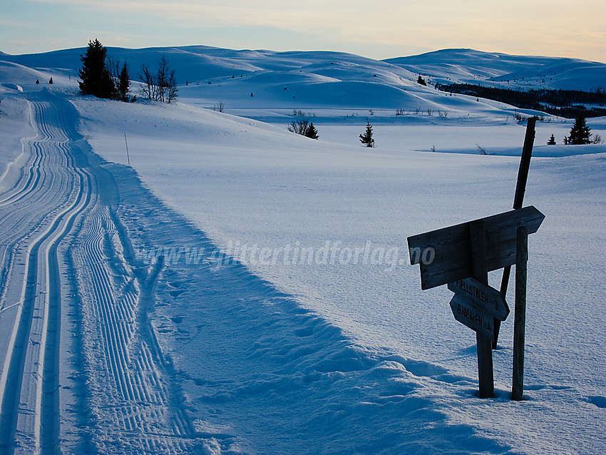 Skispor like ved Røysvang (Nordre Fjellstølen). Bjødalsfjellet i bakgrunnen.