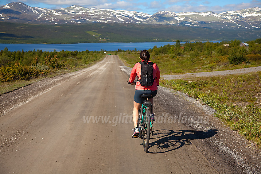 Sykling - på vei mot Storfjorden i Vestre Slidre - på Panoramaveien.