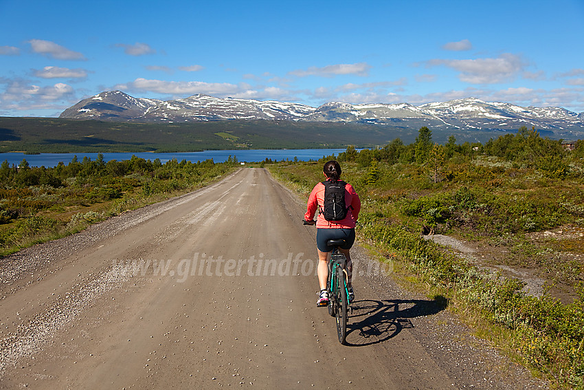 På vei ned mot Storfjorden langs Panoramaveien med Skogshorn (1728 m) bak tv. og Veslebottenskarvet bak th.