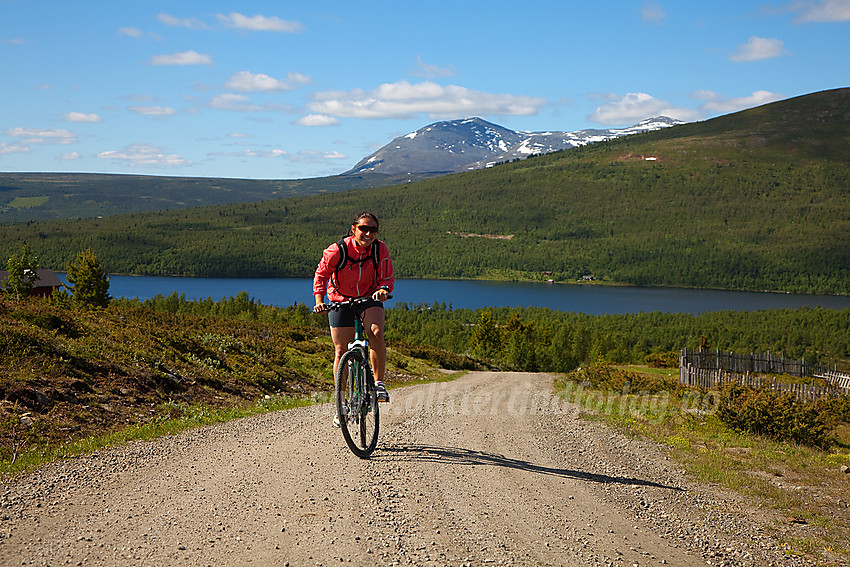 På vei opp bakkene til Jaslangen fra fjorden. I bakgrunnen Bukonefjellet og Skogshorn.