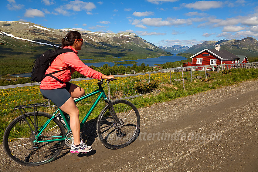 Vakker sommerdag på vakre Jaslangen mot Movatn og Strø.