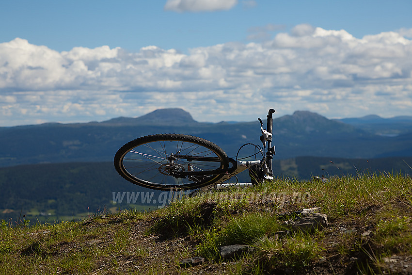 Sykkel i gresset på toppen av Ålfjell. Rundemellen og Skarvemellen anes i bakgrunnen.