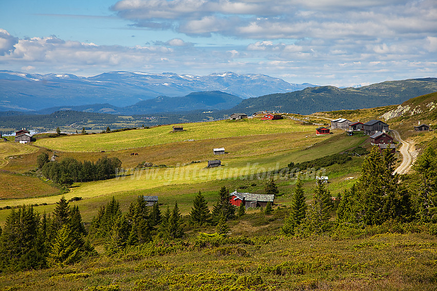 Fra Snauehøgde, en utløper fra Synhaugen, mot Synshaustølane med Mugnetinden i bakgrunnen.