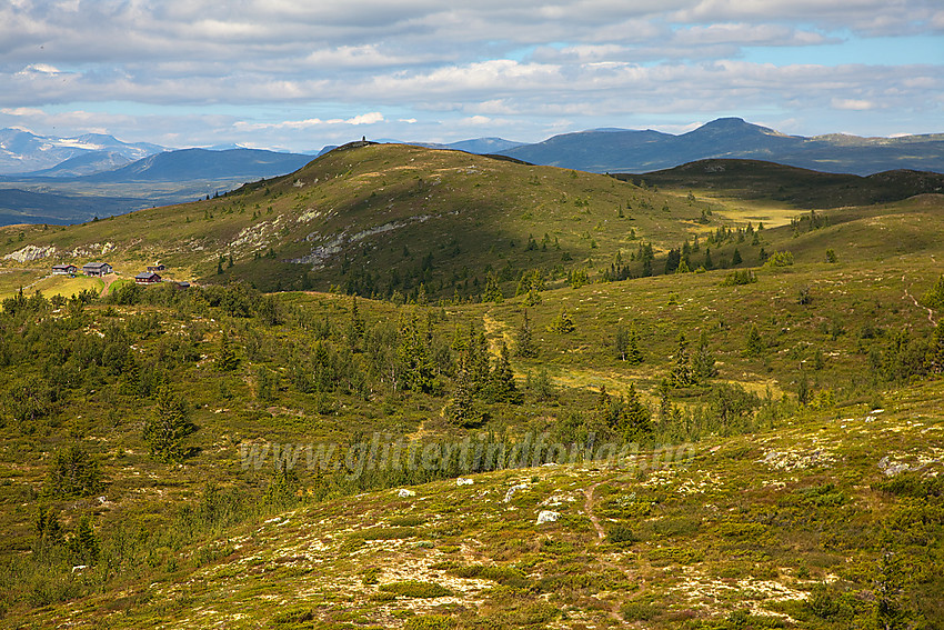 Fra Snauehøgde mot Synhaugen (1085 moh).